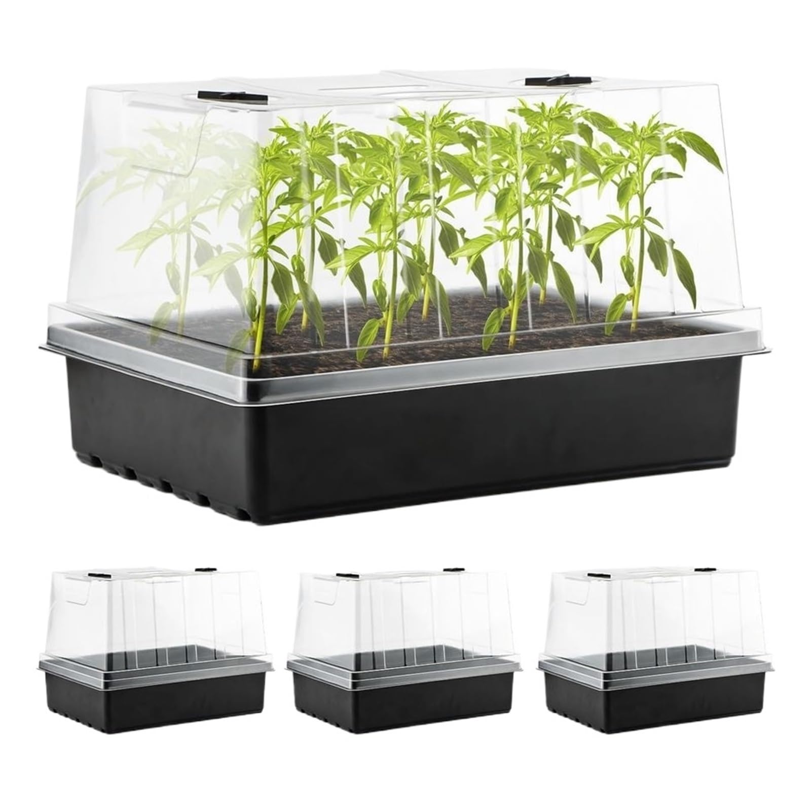 MFWHEFJ Seed Tray Seed Starter Trays With 5 Tall Humidity Domes Reusable Plant Germination Kit For Microgreens, Herbs Amp Indoor Gardening Clear V