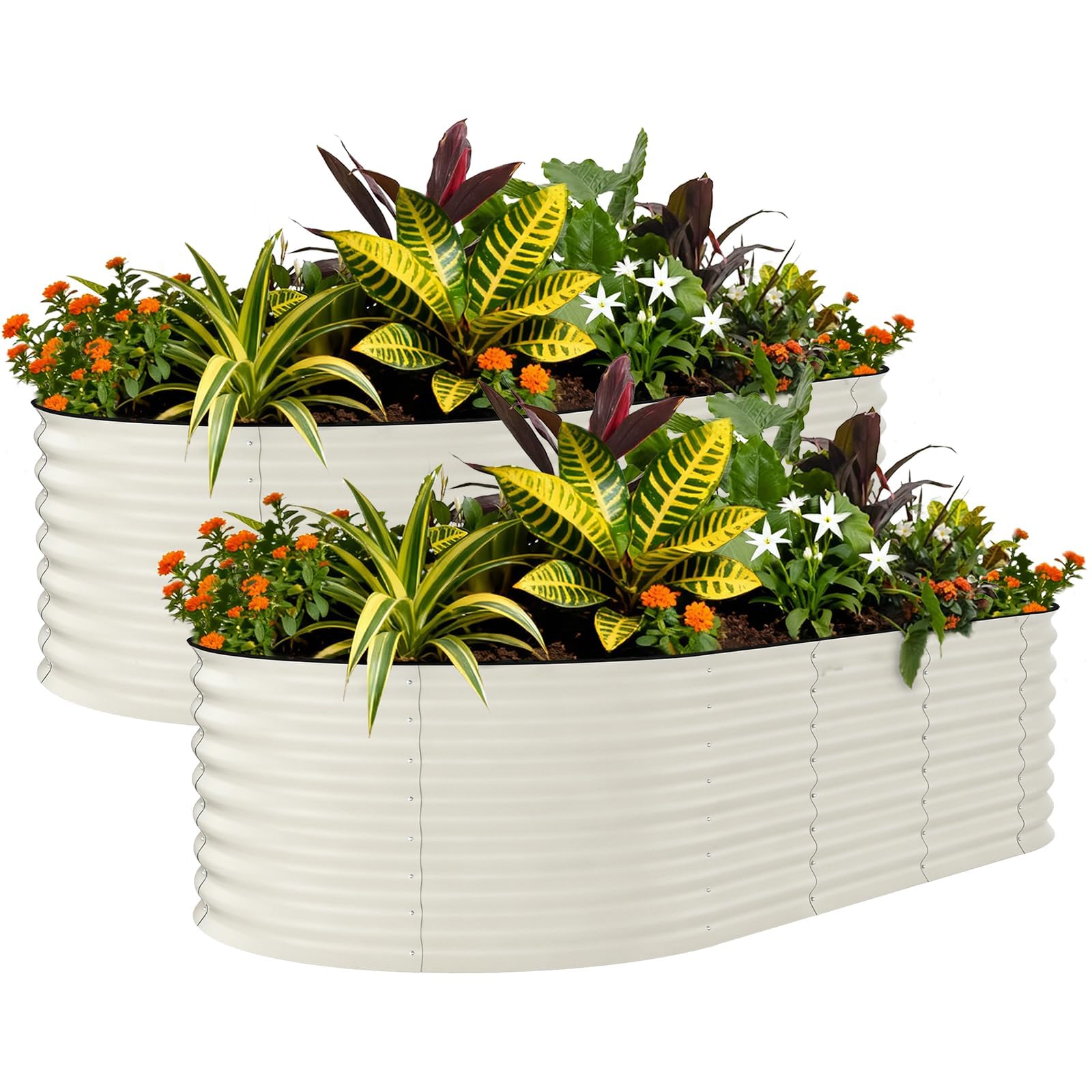 2 Pack Raised Garden Bed, 240*120*60cm Galvanised Metal Large Deep Planter for Vegetables Flowers & Herbs, Heavy-Duty Outdoor Raised Beds for Garden with Protective Edging & Support Bars, Easy Assembl
