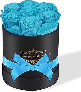 NATROSES 7 Piece Preserved Roses in a Box, Preserved Flowers for Birthday, Flower Gifts for Mothers Day (Blue)