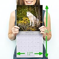 Vista 8 de Razas de Perros 2017