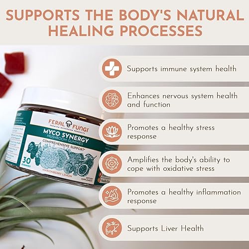 Miniatura 5 de Feral Fungi Myco-Synergy - Gomitas de hongos  Melena de león, Reishi, cola de pavo, ostra y cordyceps  Apoyo inmunológico, cerebral y energético