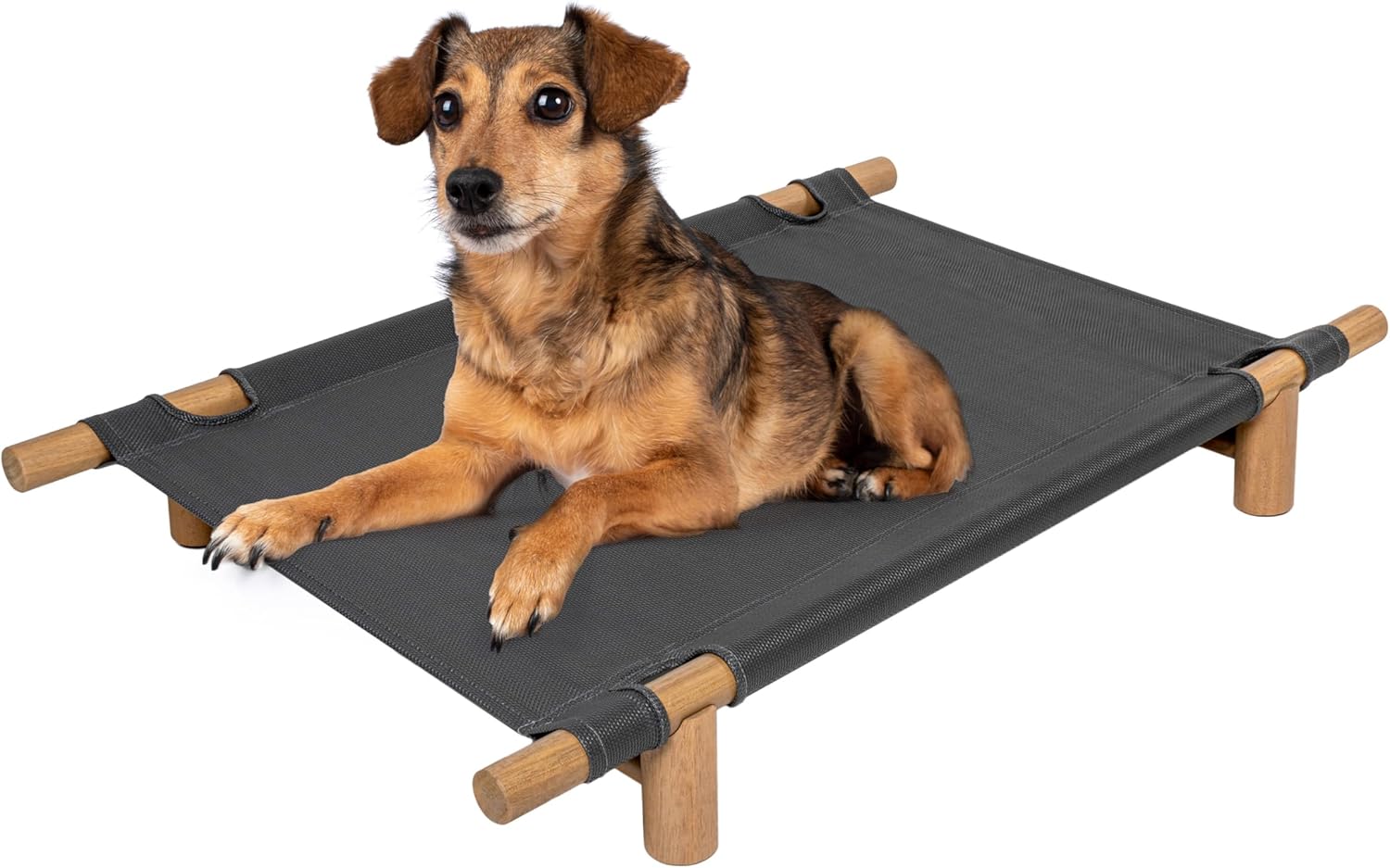 DBD5000A Chester 32" Modern Minimalist Wood Frame Elevated Outdoor Dog Bed, Snow/Light Teak