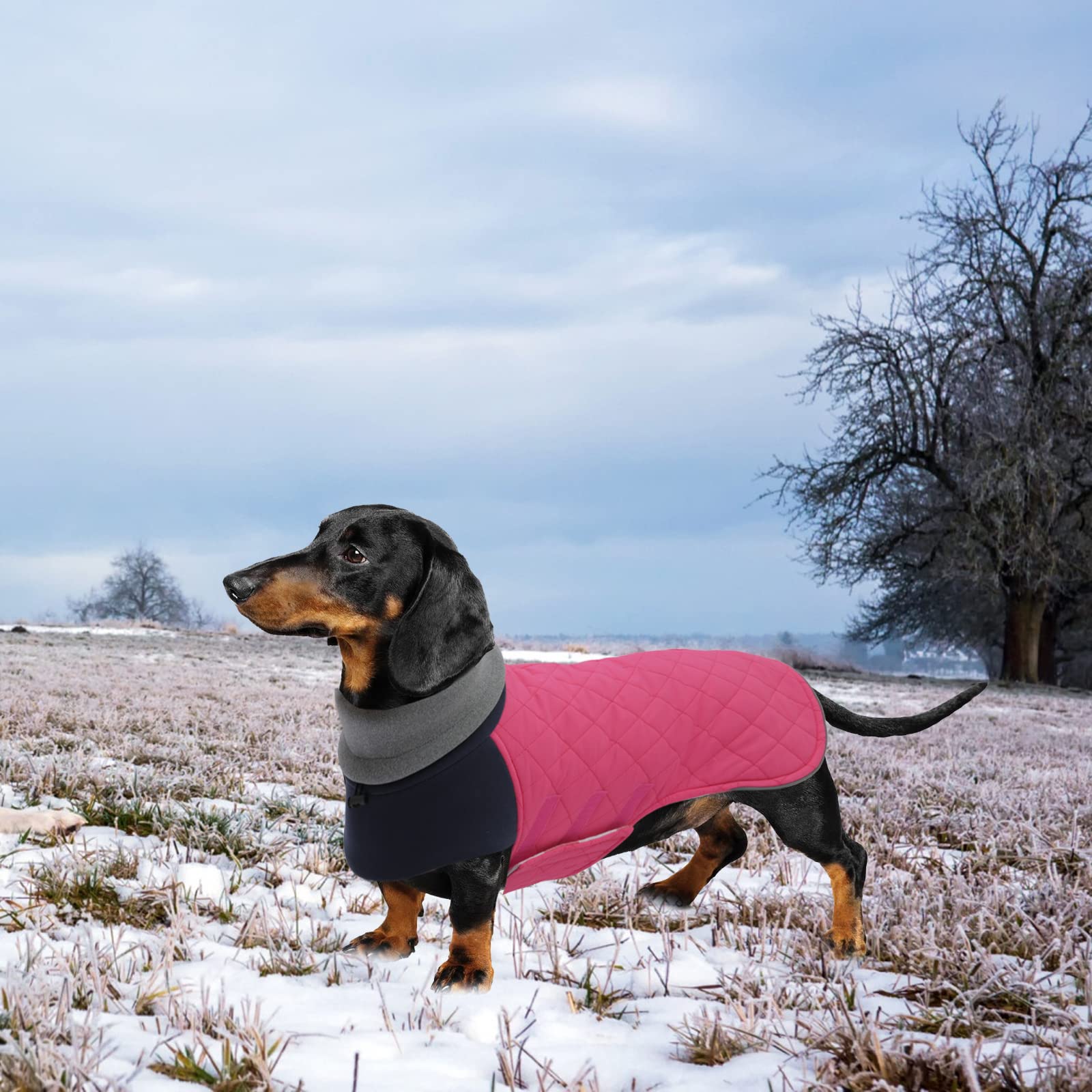 Dogs Winter Coat Geyecete Dachshund Coat,Dachshund Winter Coat