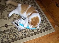 Review Image by Sam's Mom Sam's Mom