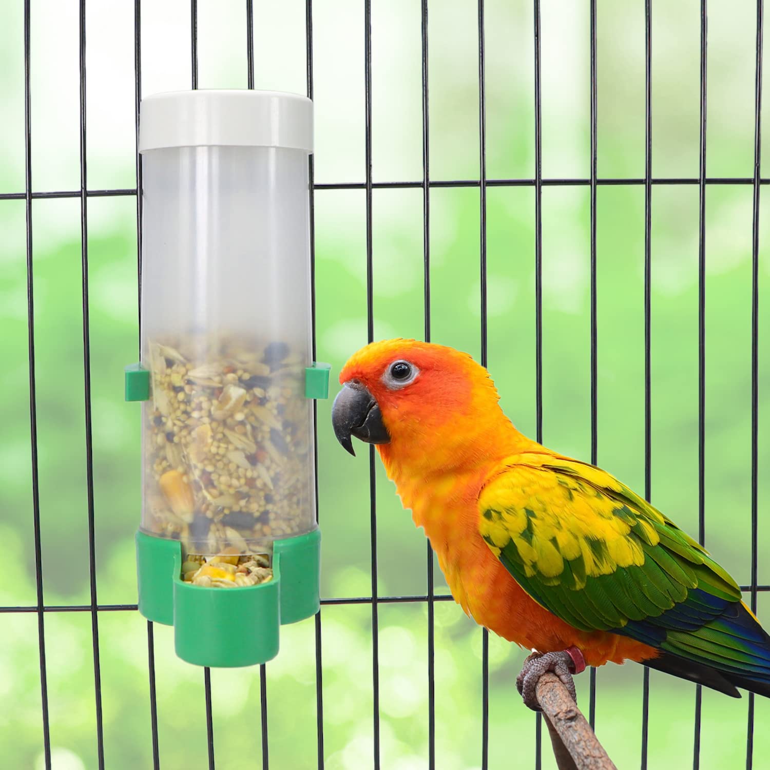 Abreuvoir Automatique Pour Oiseaux - Lot De 10 - Pour Poules, Cailles, Volailles - Polypropylène