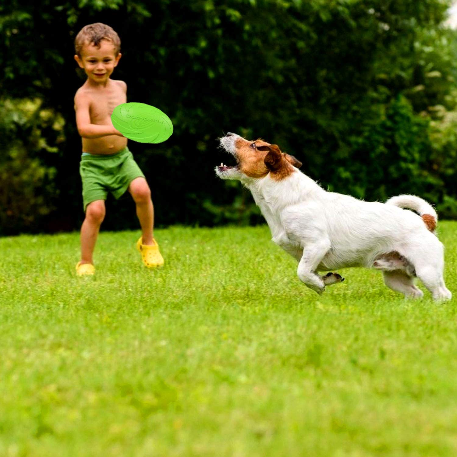2-teiliges Frisbee-Set Für Hunde – Weiche Gummischeibe, 17,8 Cm, Schwimmfähig & Langlebig