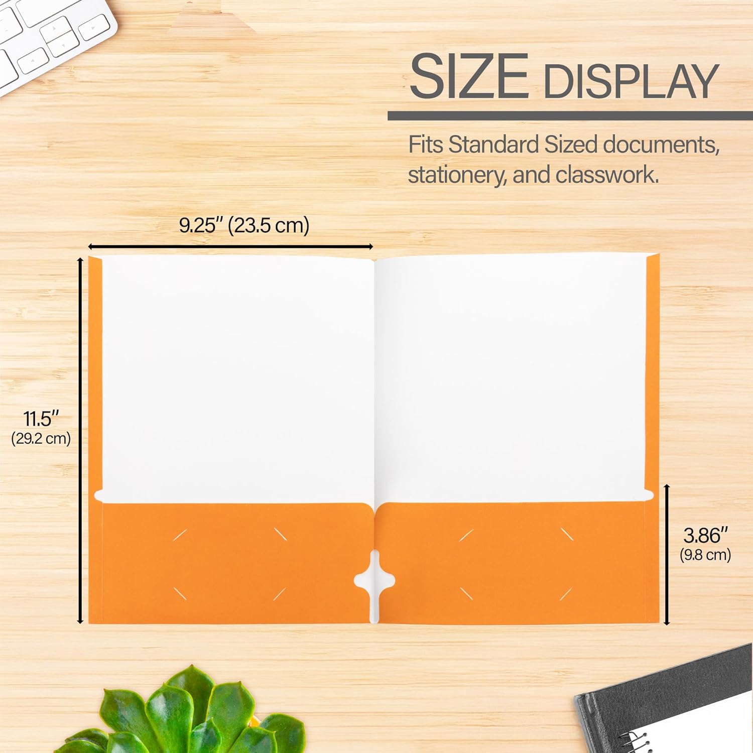 BAZIC Products 2 Pockets Paper Folder Portfolio, Letter Size Folders Holder for Office Business Document Papers Organizer, Assorted Color, 100-Pack