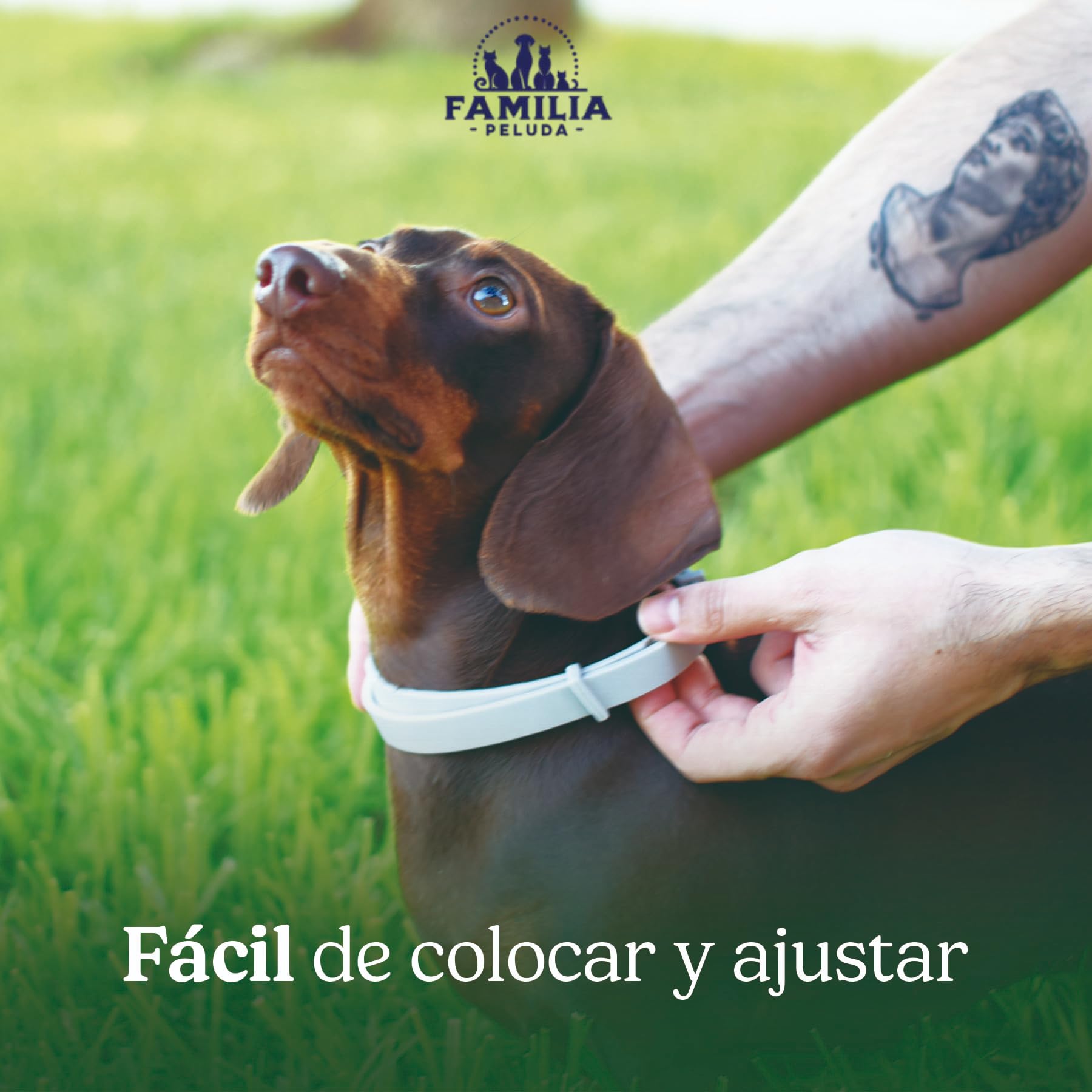 Collar Antiparasitario Perros, Collar antipulgas Perros pequeños y Grande, Leishmaniosis (Mosquitos), Pulgas y Garrapatas - 8 Meses - 63cm Ajustable, Repelente 100% Natural, Impermeable — view 3