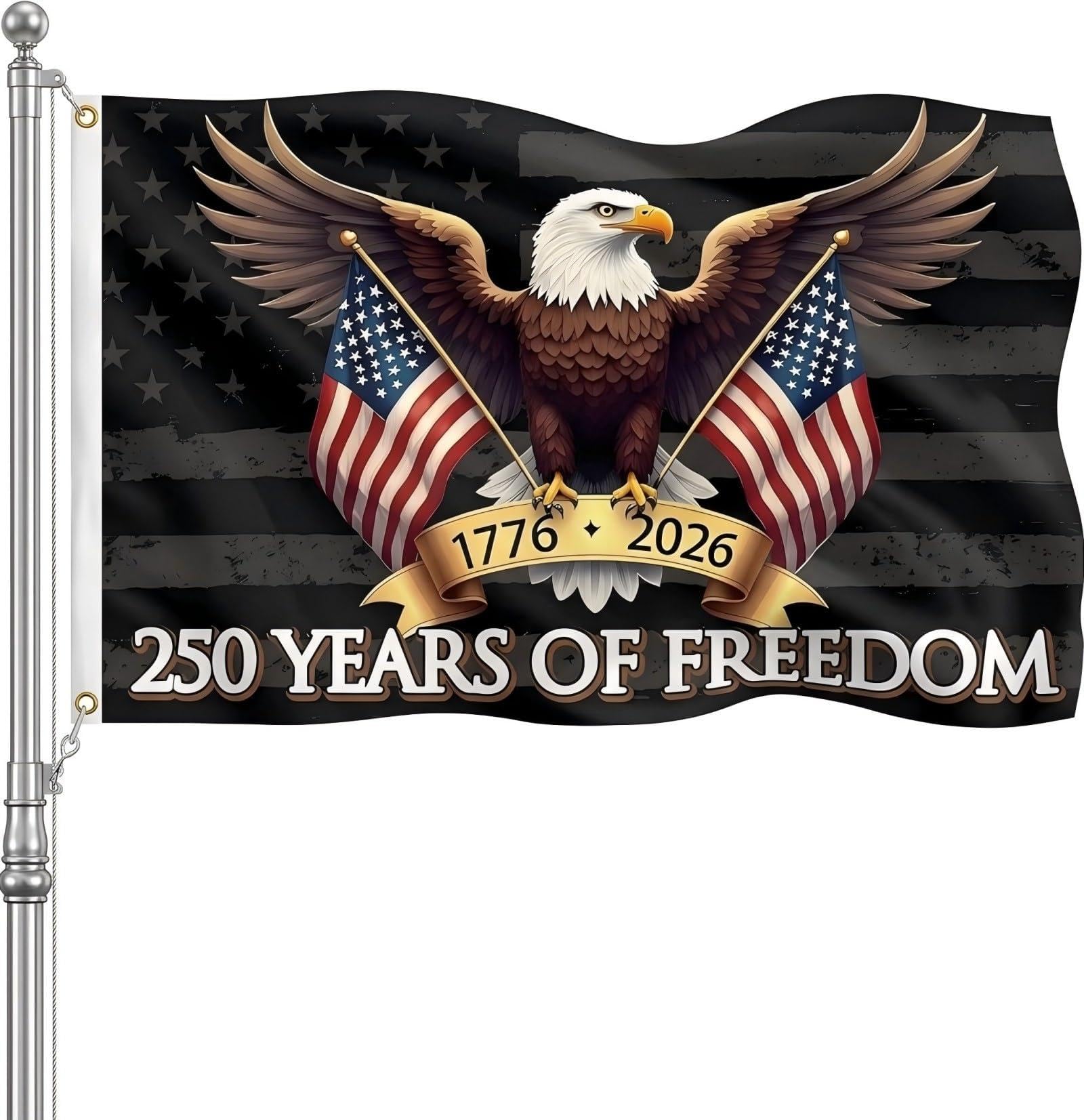Amazon.com: MAGJIUKE 250th Anniversary American Flag 3x5 Ft Double
