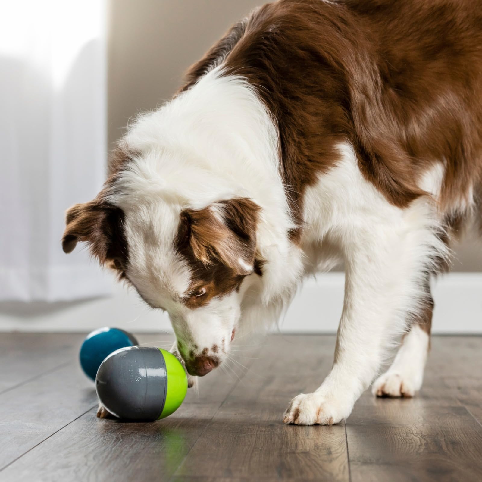 PetSafe Ricochet Elektronische Hundespielzeuge, Jagdspielzeuge mit Tonsignal, 3 AAA-Batterien erforderlich, 2 Stück.