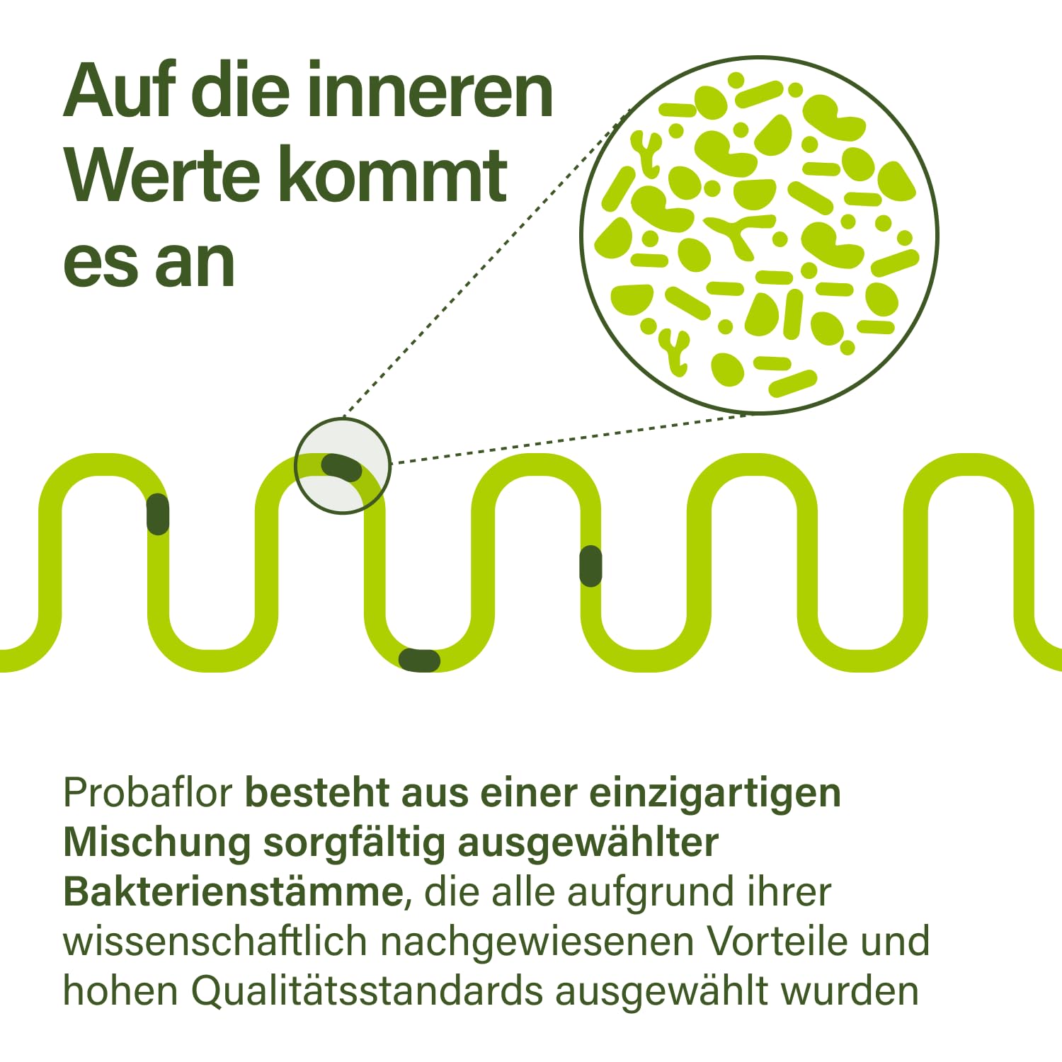 Nupure® Probaflor mit 345 Mrd KBE/g*, 110 Kapseln mit 11 Spezielle Bakterienstämme, Mit Inulin und Lactobacillus salivarius SP2, Besser geschützt dank Spezialdose, Vegan