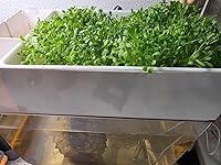 Review Image by maria maria