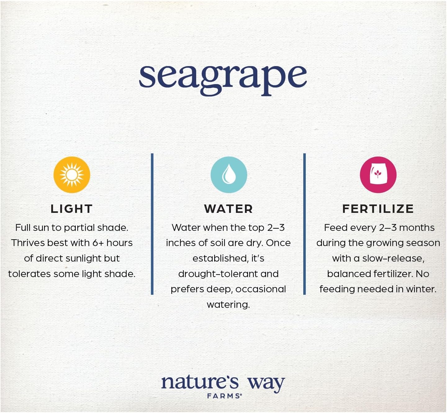 Nature’s Way Farms Seagrape Outdoor Live Plant (25-30in Tall) in Grower Pot