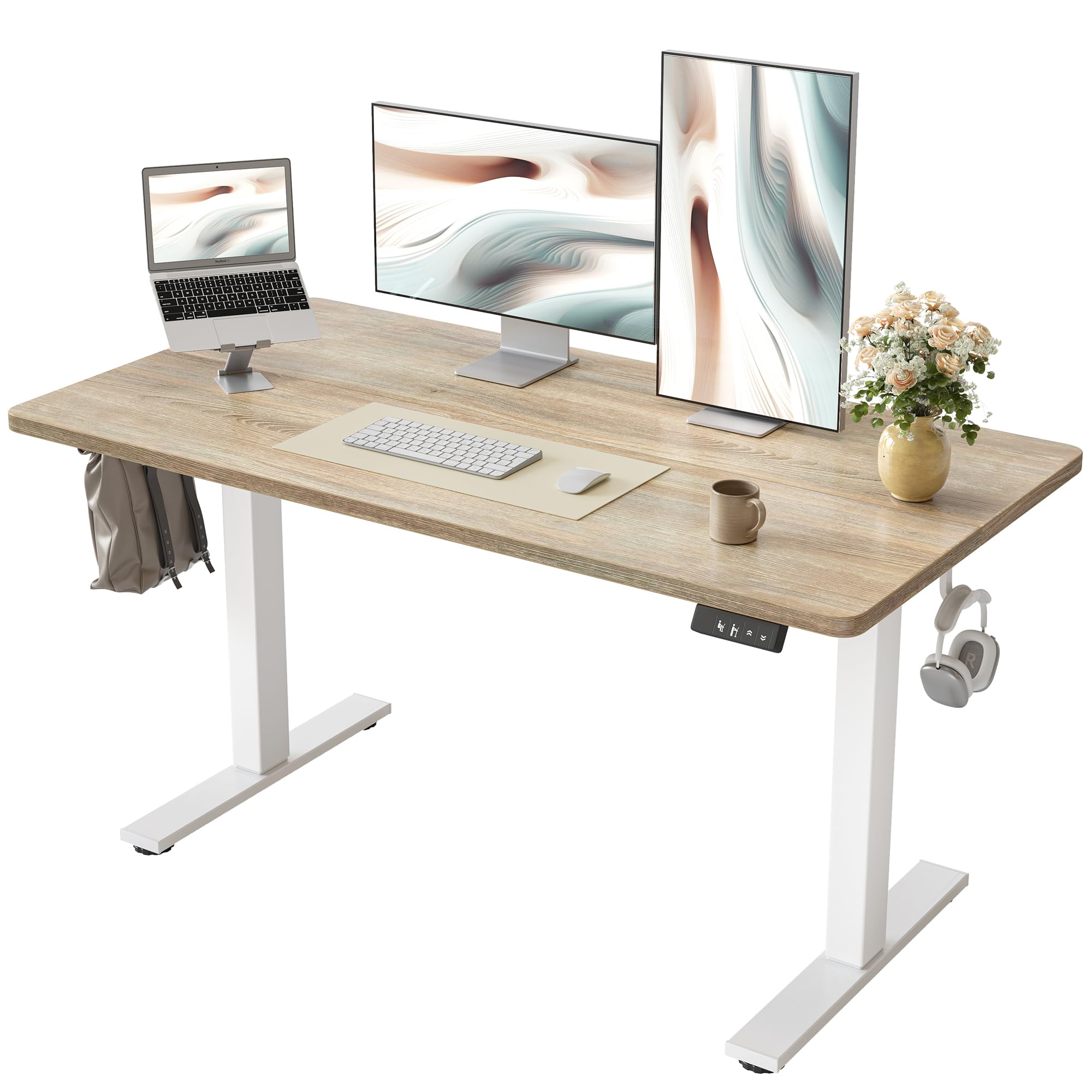 TIQLAB 48 X 24 Inch Height Adjustable Electric Standing Desk