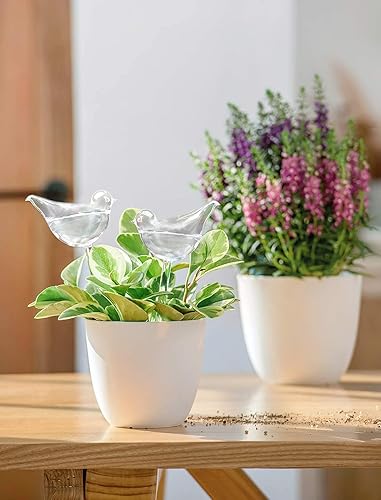 Miniatura 10 de Mkono figura de pájaro de vidrio soplado pequeña, de riego, para colocar agua adentro y regar las plantas., Transparente