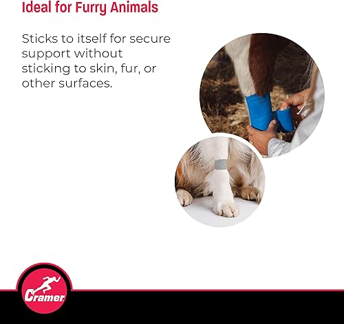 Miniatura 22 de Cramer Eco-Flex Self-Stick Stretch Tape, Cohesive Tape, Flexible Elastic Sports Tape, Athletic Training Room Supplies, Easy Tear & Self-Adherent