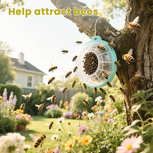 Miniatura 6 de Aceite esencial de citronela de 4 onzas, aceite puro de citronela para difusor, masaje de piel, fabricación de velas, 4 onzas líquidas