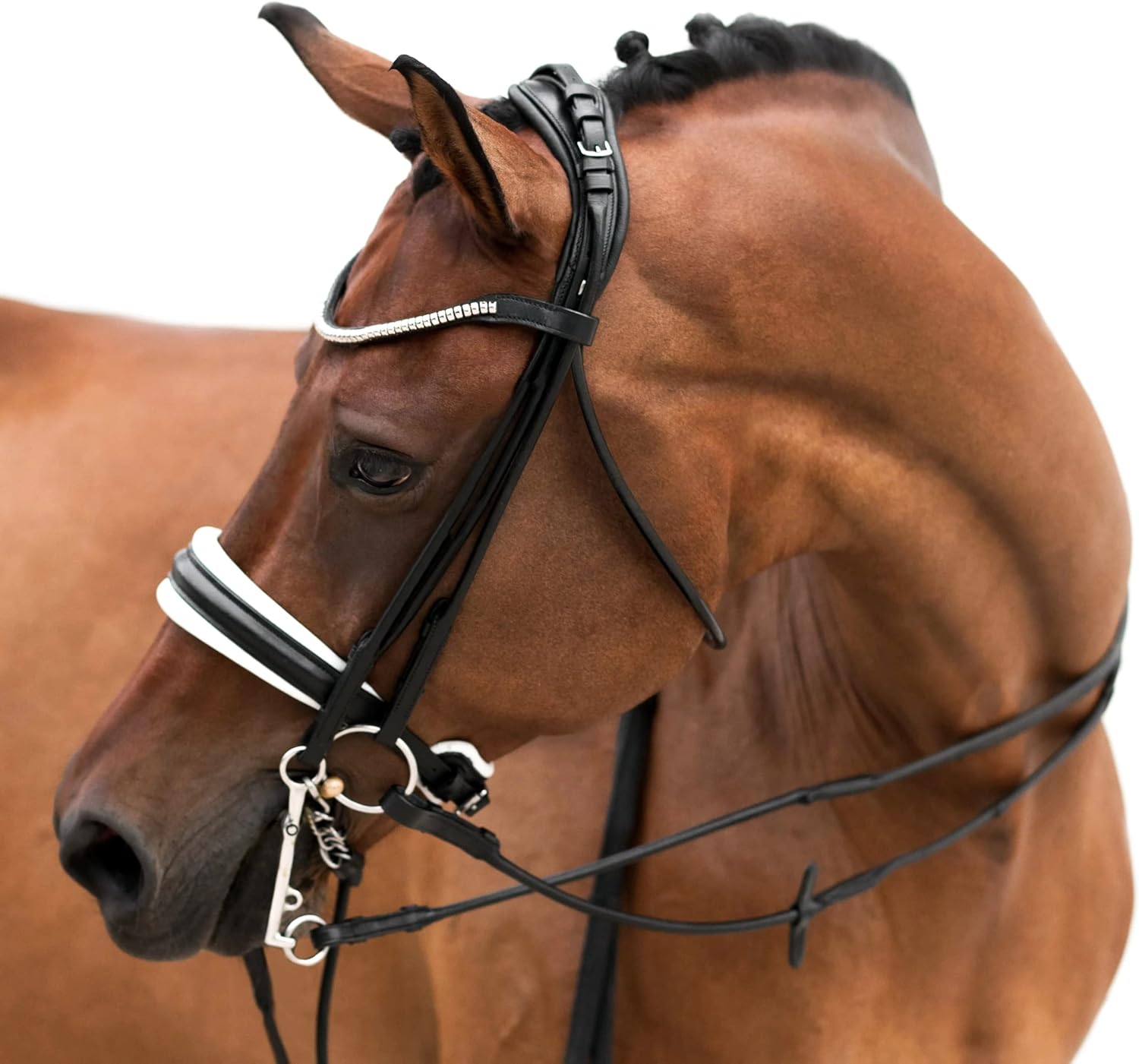 Lumiere Equestrian 'Magnifique' Rolled Leather Bridle White Padding - (Double) : Sports & Outdoors