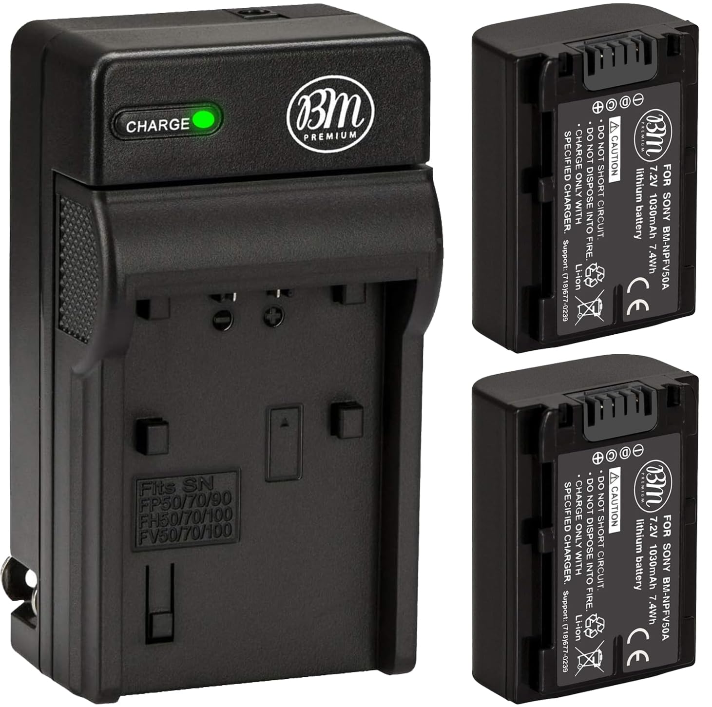 BM 2 NP-FV50A High Capacity Batteries and Charger for FDR-AX30 FDR-AX33 FDR-AX53 FDR-AX700 FDR-AX100 FDR-AX35 HXR-MC50 HXR-MC88 HX-RNX80 PXW-Z90V VG10 NEX-VG20 NEX-VG30 NEX-VG900 Camcorders
