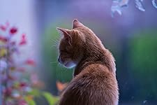 Review Image by Mike