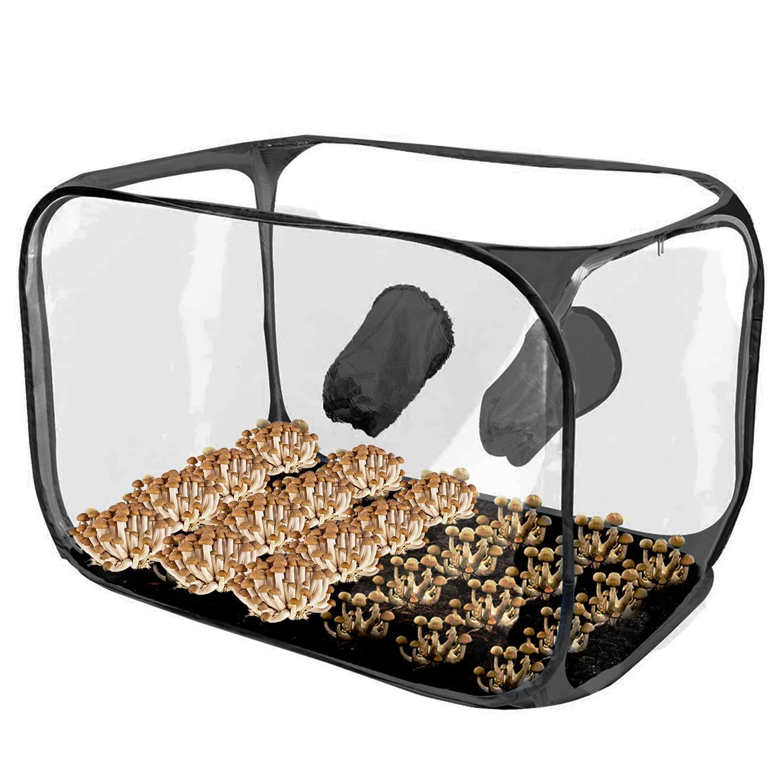 Tente de culture en forme de champignon ventilée et pliable