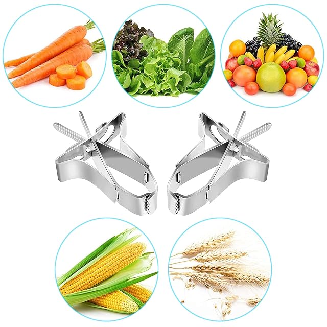 Foto 4 de 7 de Allazone 5 soportes para alimentos, para pájaros, verduras, frutas, loros, frutas, clip para pájaros, hámster