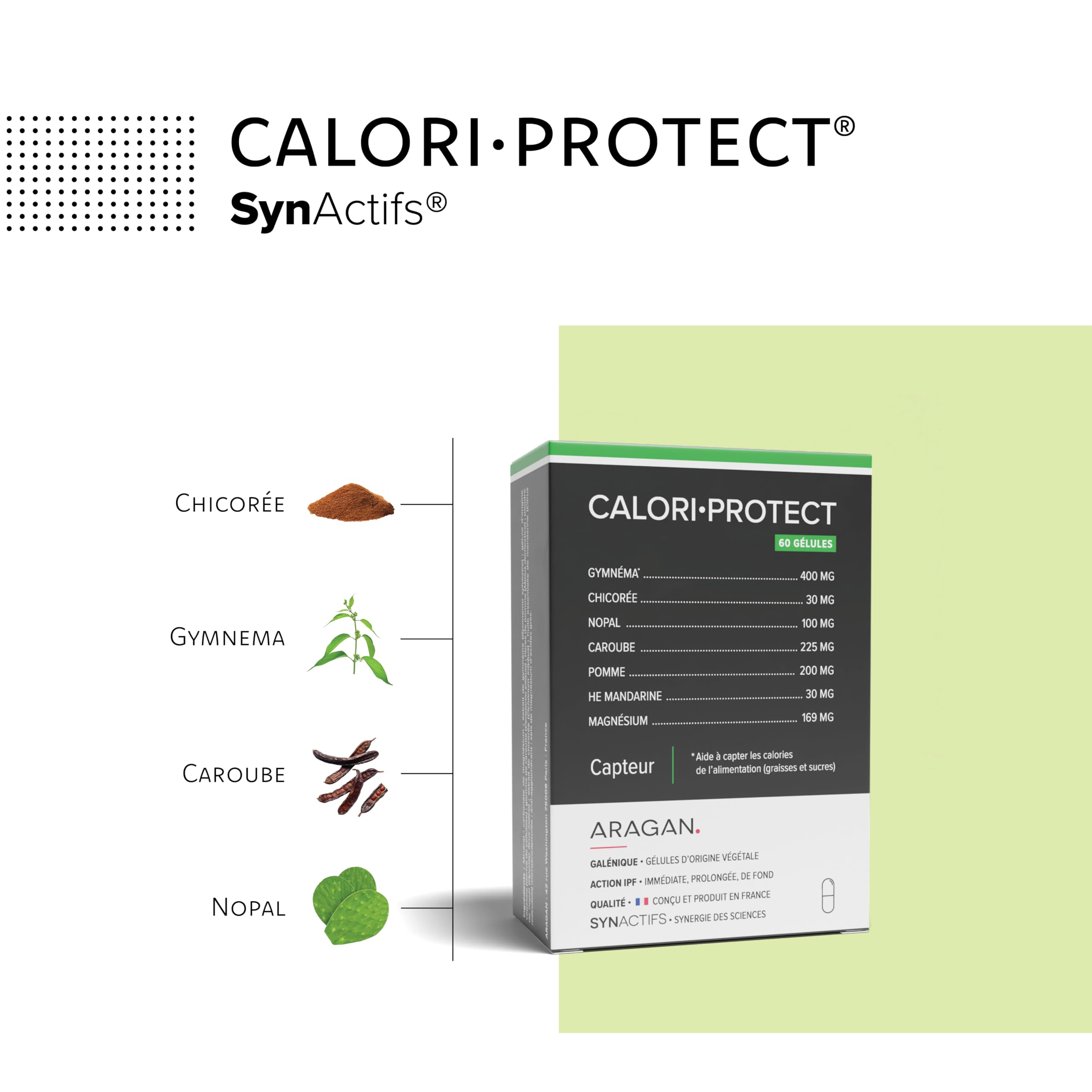 ARAGAN - Synactifs Lot de 2 CaloriProtect - Complément Alimentaire Minceur - Gymnema, Poudre de Caroube, Nopal, Huile Essentielle de Mandarine - 120 gélules - 1 à 4 mois de prise - Fabriqué en France