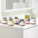Pots sucants avec drainage 3.6 1 cm Mini Pots de chat pour plantes Petit planteur animal Petite céramique Air Pots de fleurs de plantes Cactus Faux Planters Conteneurs avec bac en bambou