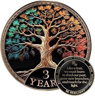 Affirmation Sobriety Coin Gift Set | Tree of Life AA Chip Medallion with Token Capsule, Stand & Card | Sobriety Gifts for Anniversary Month & Year for Men & Women in Recovery (3 Years)