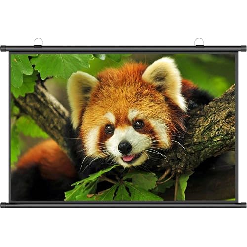 Portable Projector Screen, 60-80 Inch Manual Pull Down Home Cinema Projector Screen, 16:9 or 4:3 HD Retractable Projection Screen, for Movie Home Office Presentation Education ( Size : 60" (16:9) )