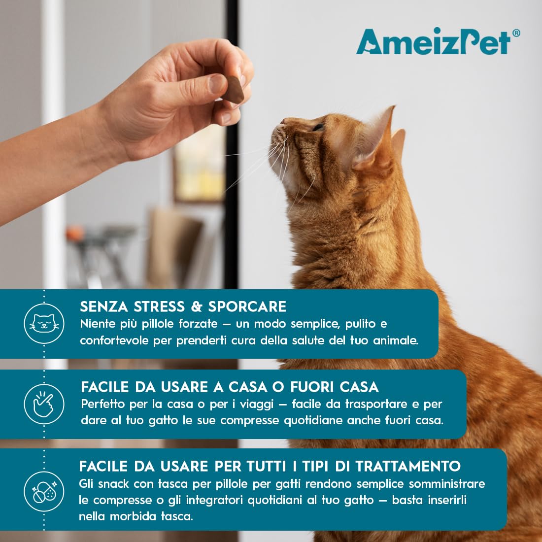 AmeizPet Tasche per Compresse per Gatti, Snack Morbidi 50 g
