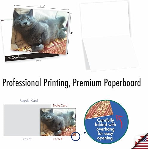 Miniatura 2 de The Best Card Company - 10 tarjetas de gato en blanco para todas las ocasiones (4 x 5.12 pulgadas) - Lindo juego de tarjetas a granel surtido -