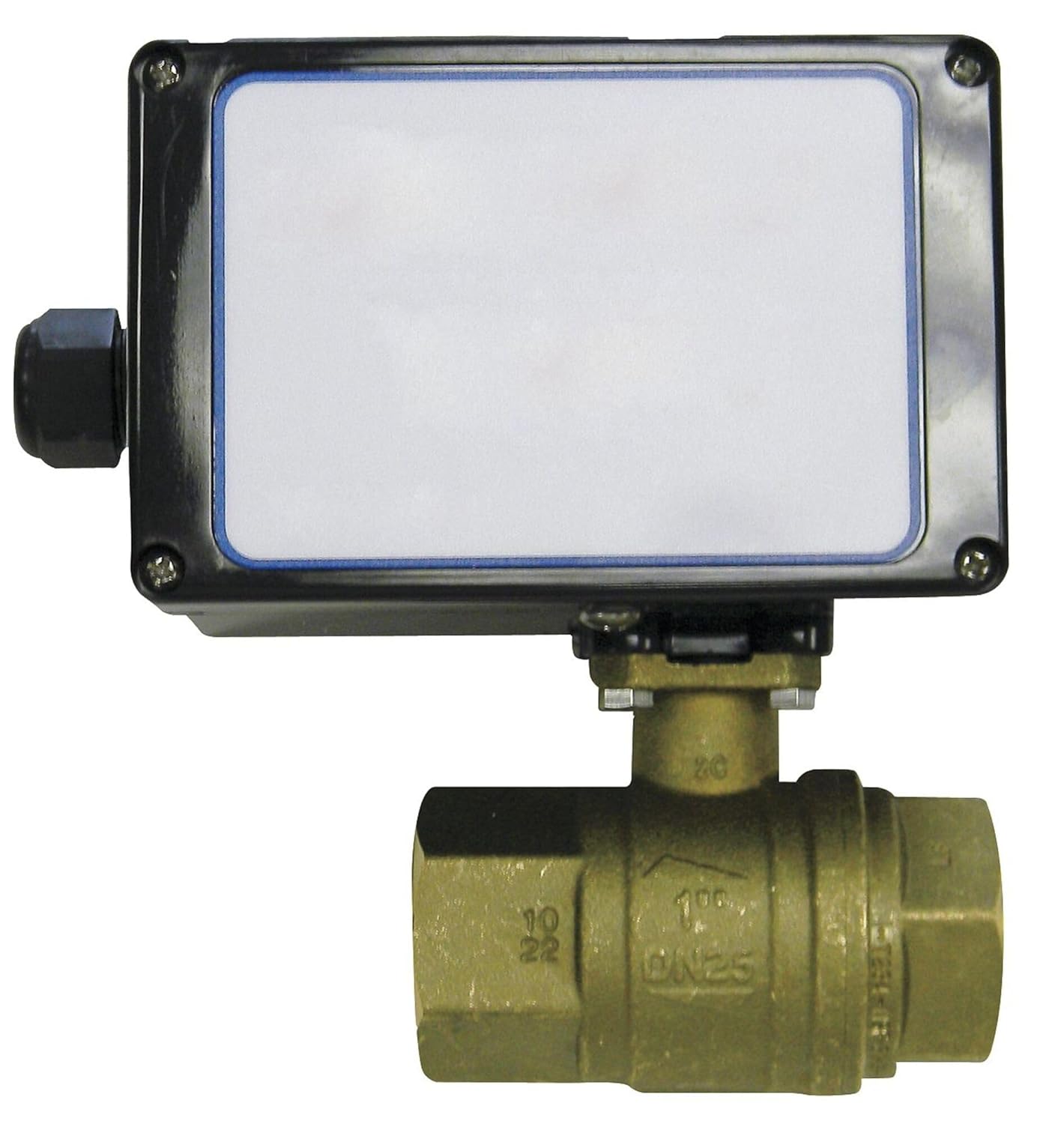 Ball Valve,Electronic,1 in FNPT