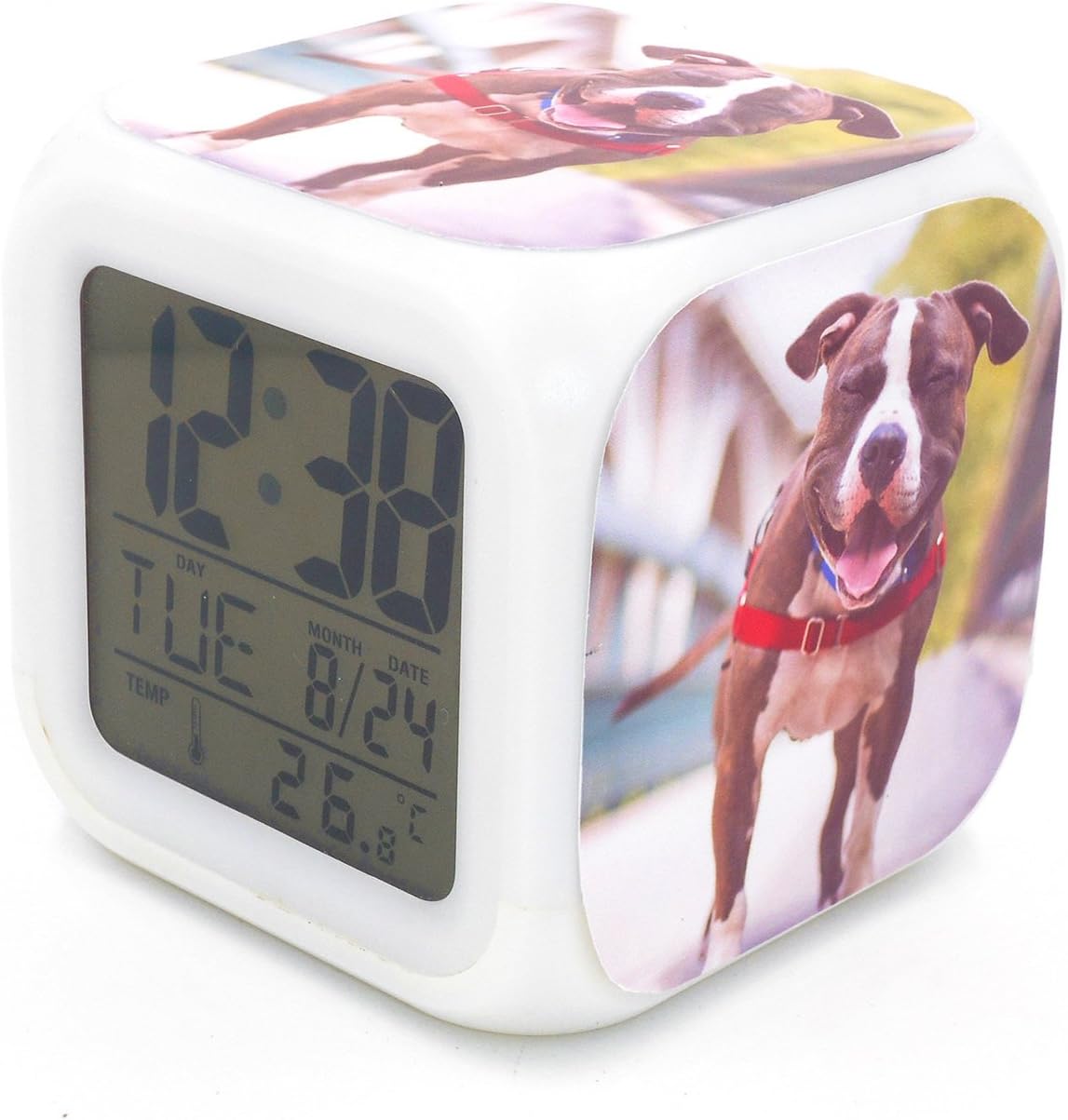 BoFy Led Alarm Clock Bulldog Dog Puppy Animal Pattern