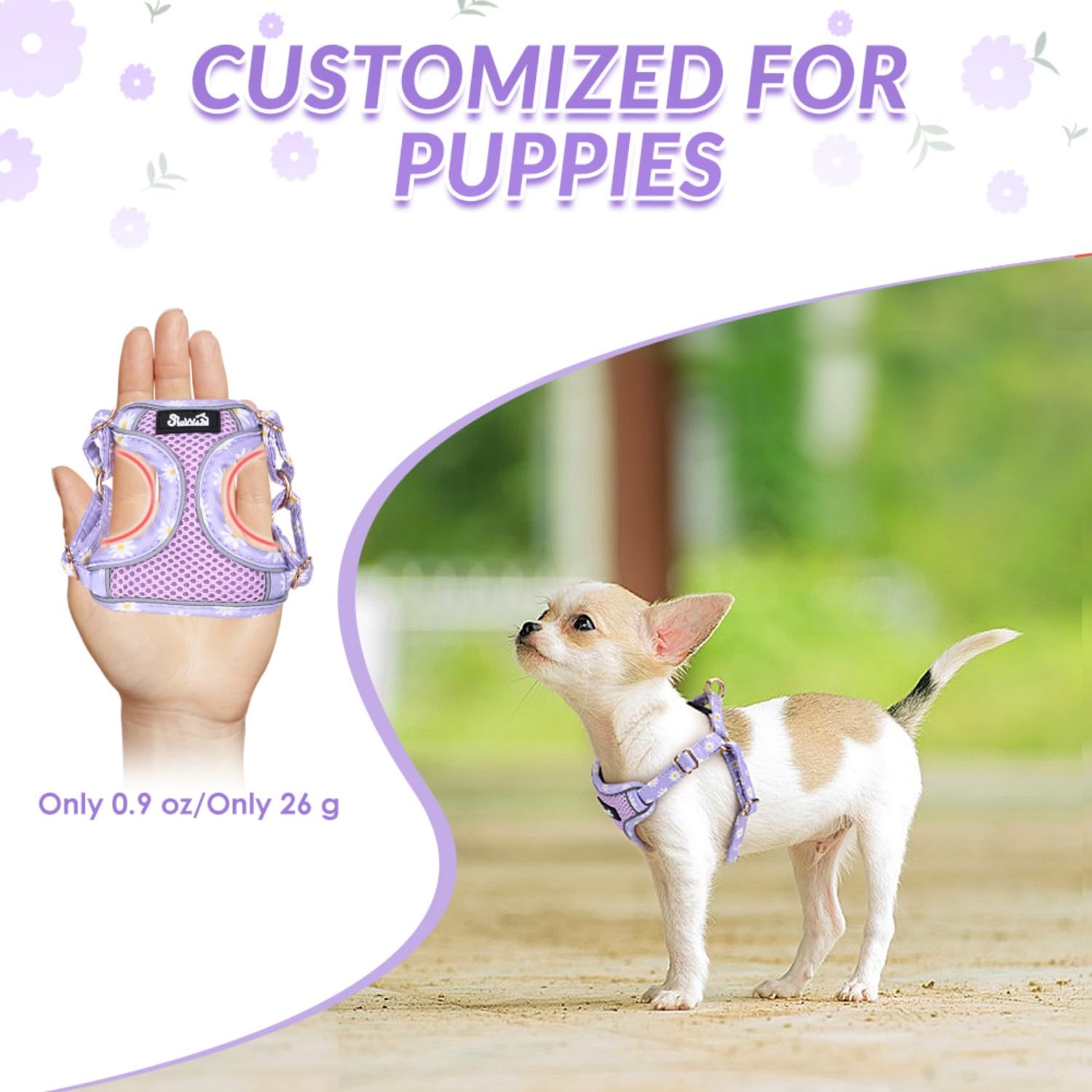 Eyein Small Dog Harness and Lead Set - Image 3