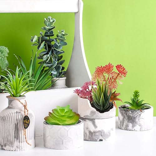 Miniatura 4 de Coloridas suculentas artificiales, 22 piezas de mini suculentas artificiales, plantas suculentas falsas para manualidades, hogar, jardín, oficina,