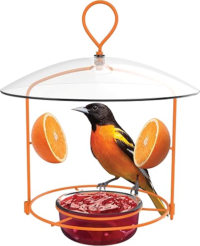 Nature's Way Alimentador de Oriole de Alambre OFM1
