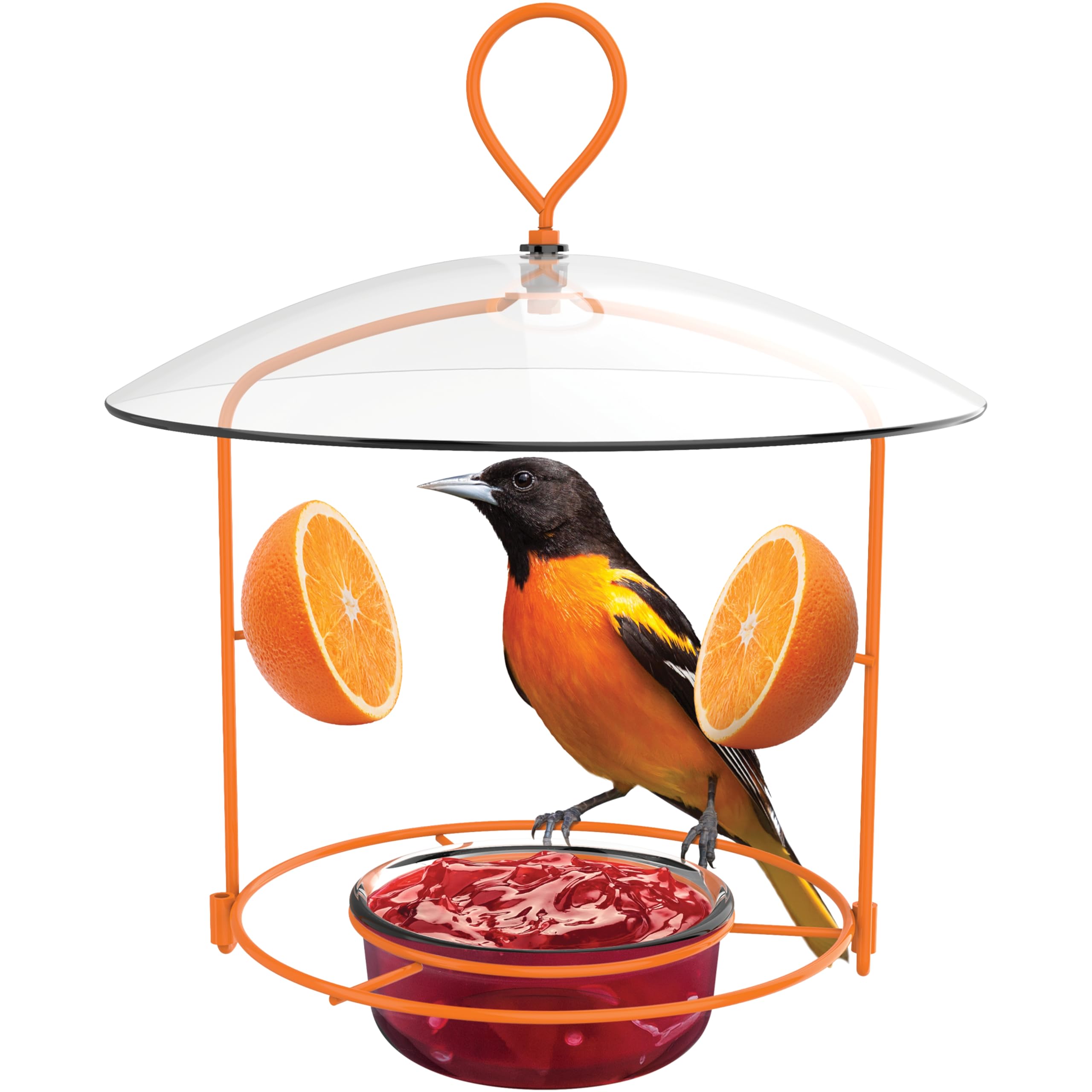 Amazon.com : Nature's Way OFM1 Wire Oriole Feeder : Patio, Lawn