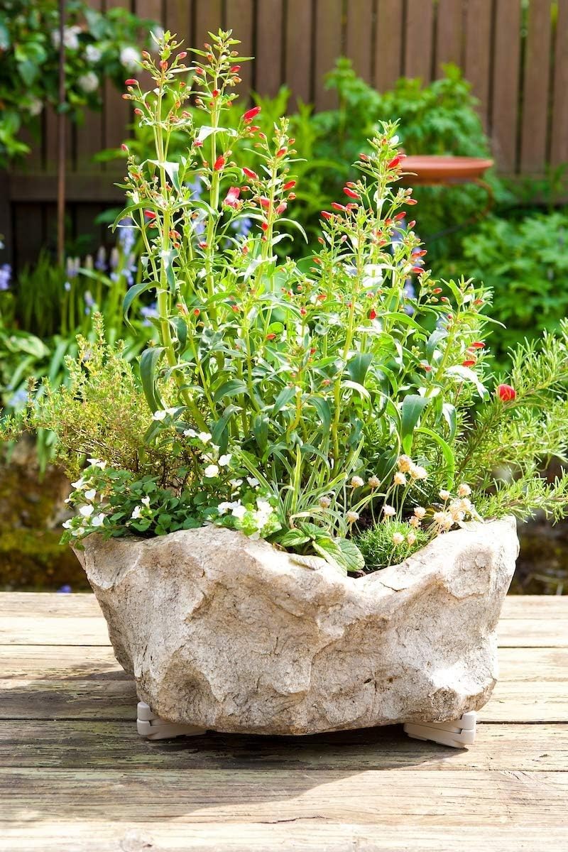 Amazon.com : Bosmere Pot Toes, Plant Pot Risers for Indoor and Outdoor,  Prevent Stains and Rotting on Wood, Cement, and Tile - Terra Cotta (Pack of  12) : Planters : Patio, Lawn & Garden