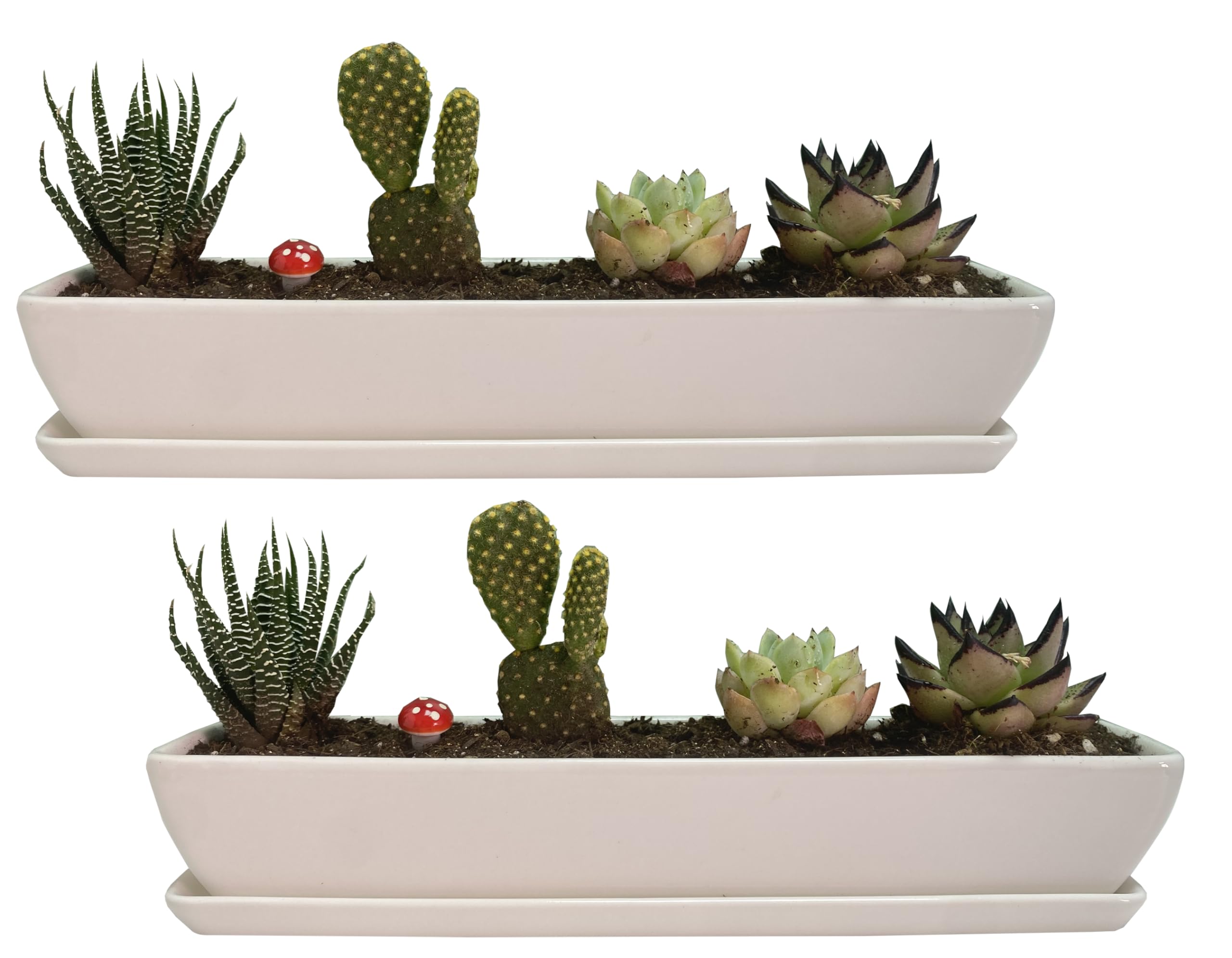 28,2 cm lange, rechteckige weiße Keramik-Sukkulenten-Übertöpfe mit Keramik-Untertassen, Mini-Blumen-Pflanzbehälter, Blumenkästen für Büro/Zuhause, 2 Stück rechteckige Töpfe