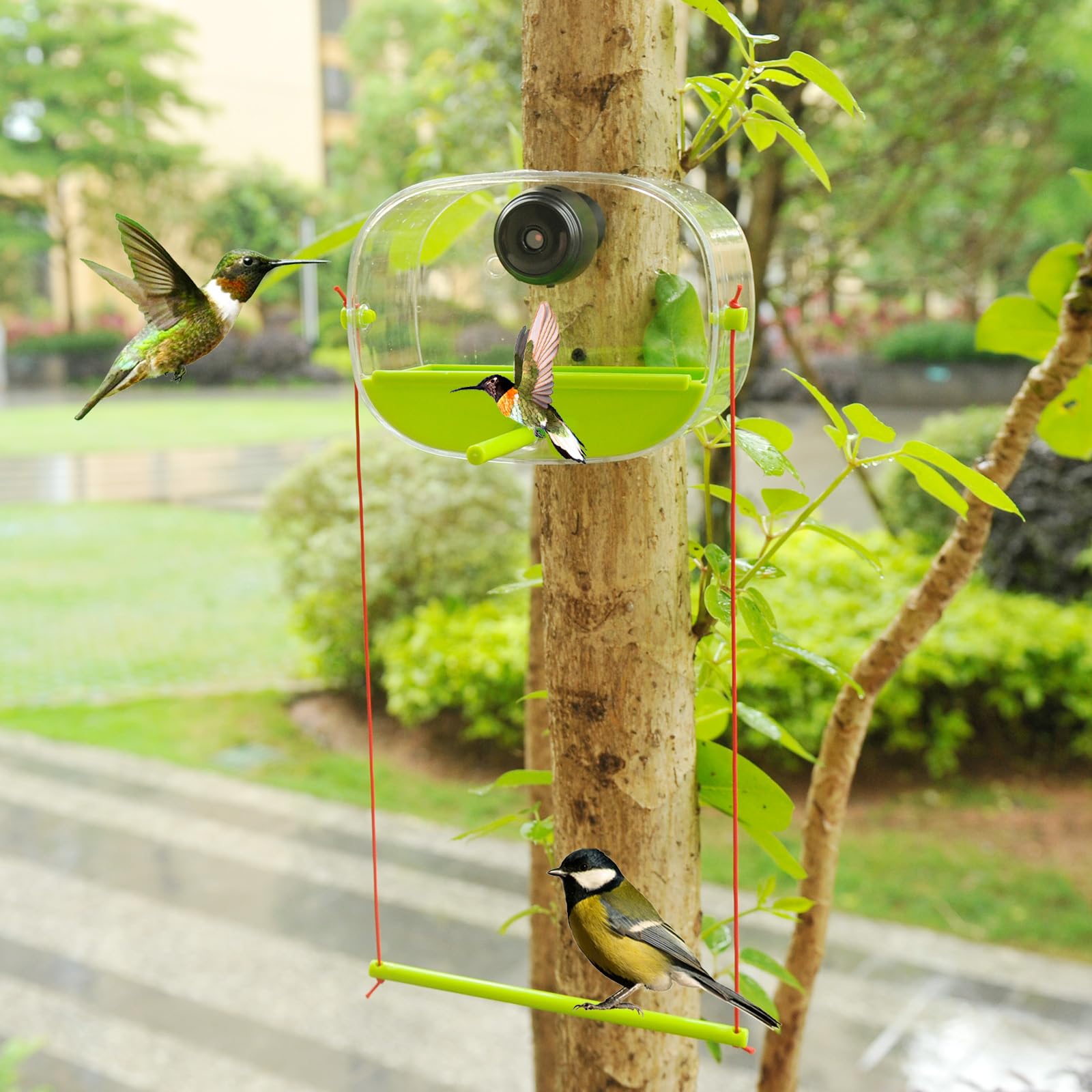 Comedero automático para pájaros de gran capacidad con temporizadores inteligentes espirales ventosa para decoración de jardín/jardín Comedero automático para pájaros