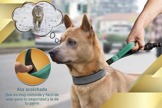 Foto 3 de 8 de SparklyPets Correa Manos Libres para Perros medianos y Grandes