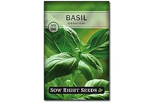 Sow Right Seeds: Flavorful Genovese Sweet Basil Seeds for Your Kitchen Herb Garden