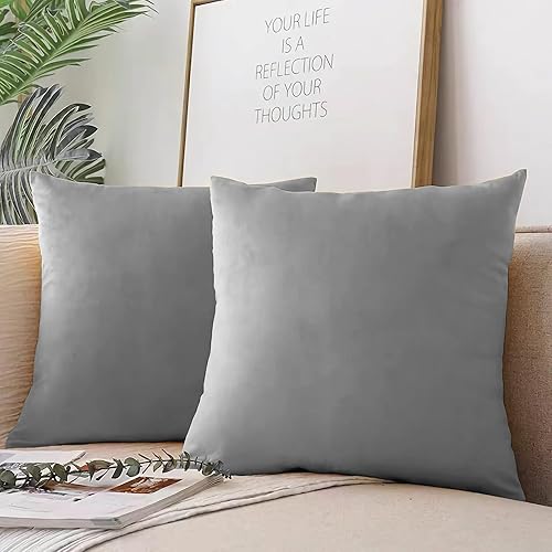 Paquete de 2 fundas de almohada de terciopelo suave de 18 x 18 pulgadas, fundas de cojín cuadradas sedosas decorativas con cremallera para