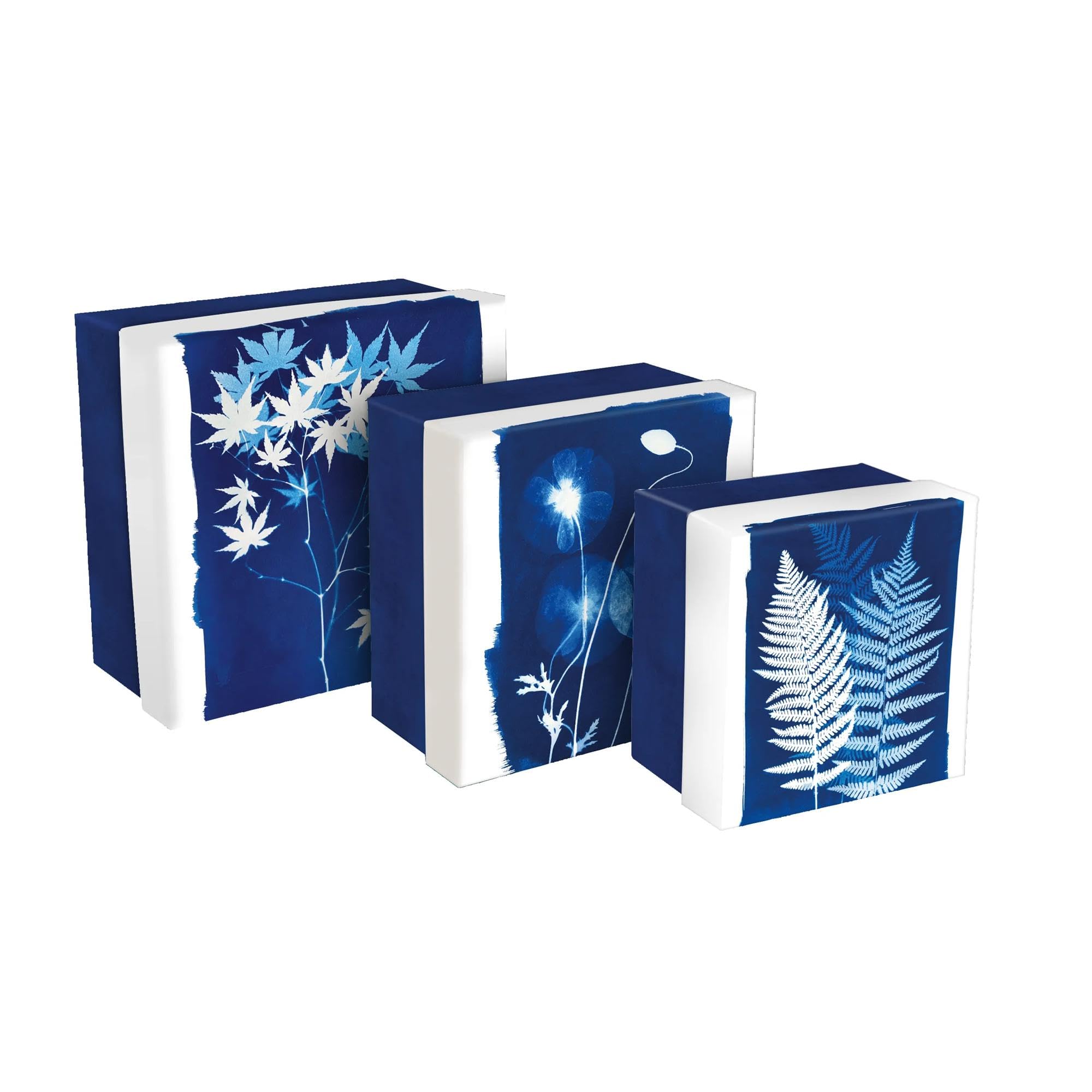 Clairefontaine - 83514C - Set of 3 Square Multipurpose Gigantic Storage Boxes Floral/Cyanotype Cardboard 25x25x12cm 20x20x11cm 16x16x10cm Cyanotype Collection