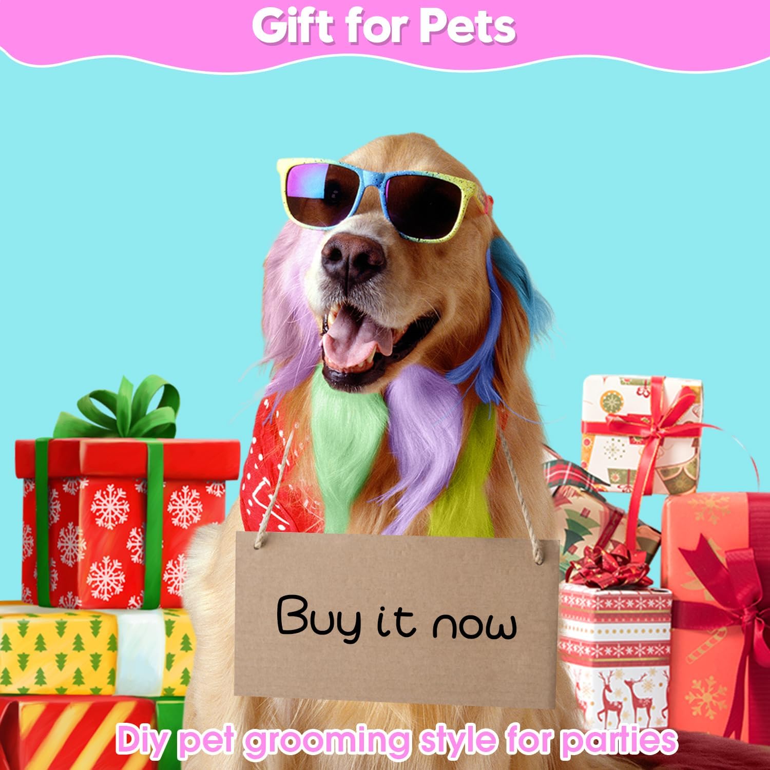 Hair Chalk 12 Colori Tinture per Cani Gatti e Cavalli