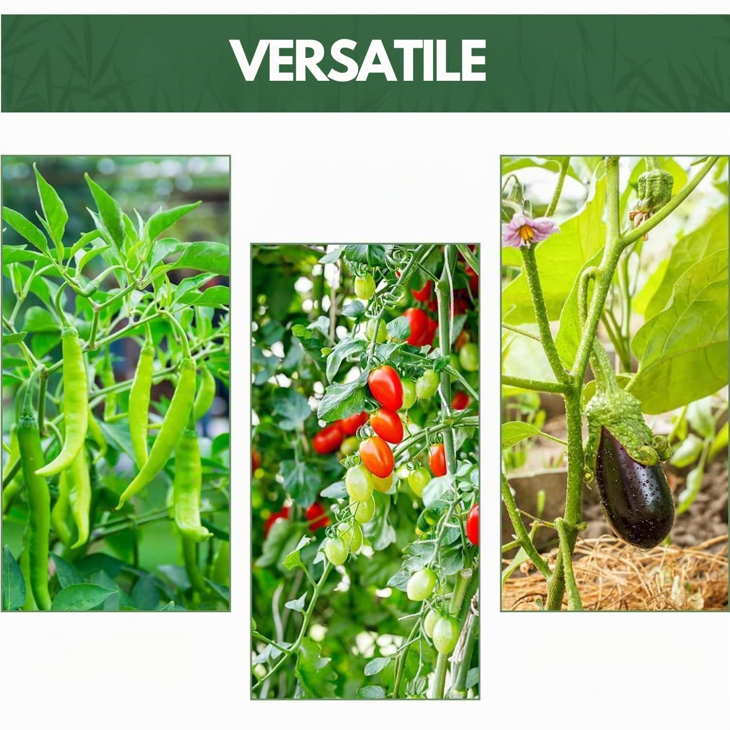 Canne Bambù Giardinaggio Naturali Set 10 Cannette 24/26 Ø x 210 cm Bastoncini Supporto Piante Orto Sostegni Tutore Pali Resistenti Rampicanti Giardino Pomodori Melanzane
