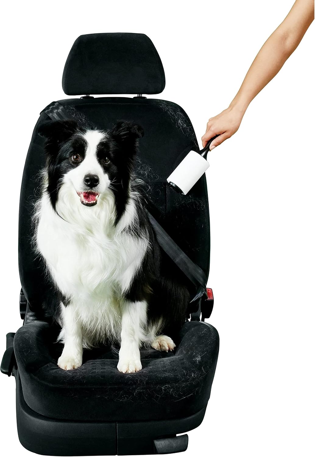 Scotch-Brite Pet Hair Lint Roller Refills, Picks Up Fur On Furniture And Clothes, 12 Refills, 56 Sheets Per Refill, 672 Sheets Total : Everything Else