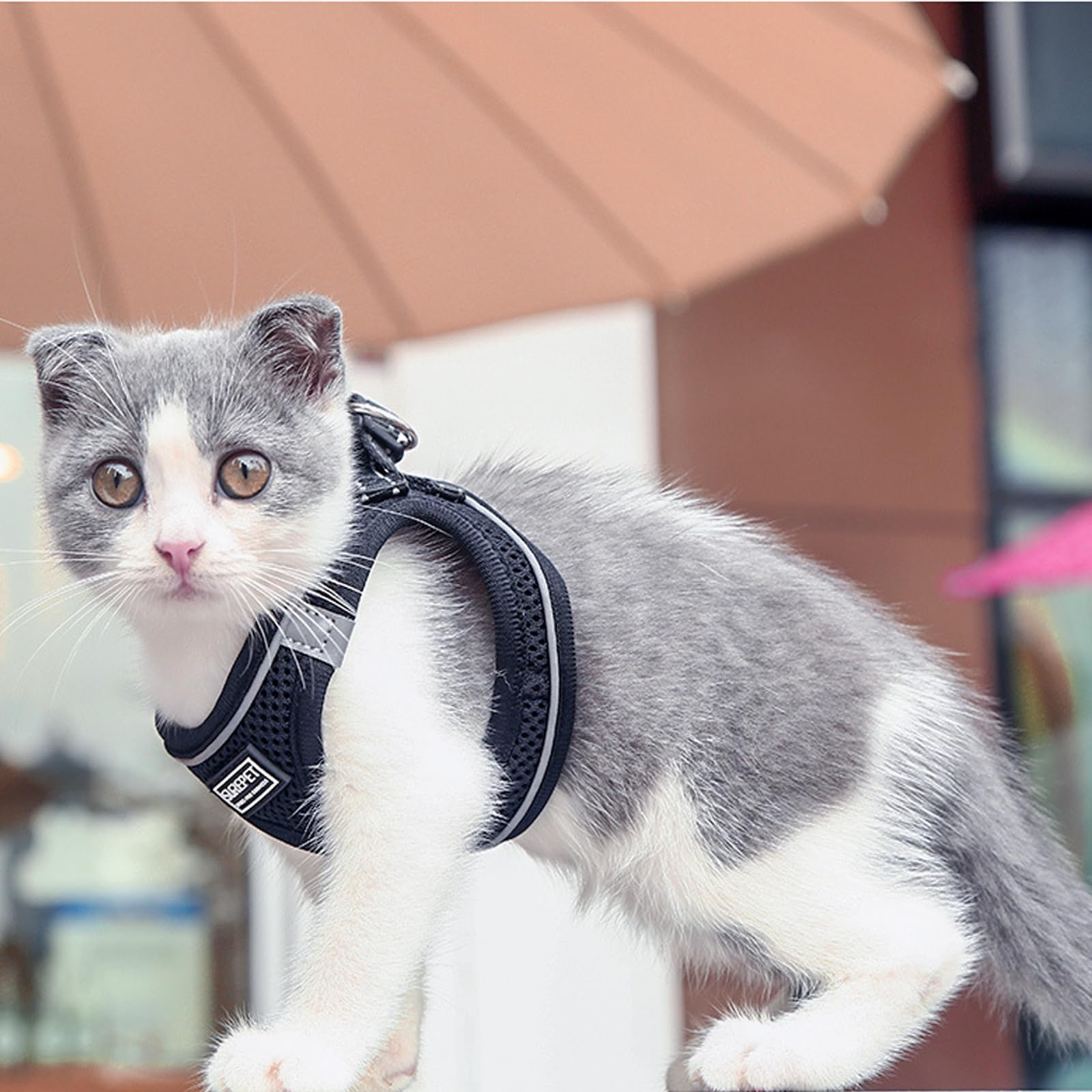 Kitten Harness Escape Proof Escape-Proof Cat Harness Leash Set