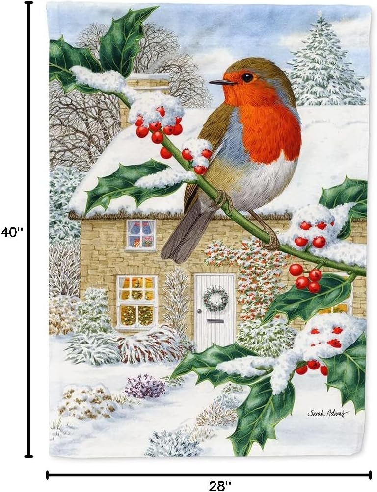 Caroline's Treasures ASA2070CHF European Robin House Flag Large Porch Sleeve Pole Decorative Outside Yard Banner Artwork Wall Hanging, Polyester, House Size, Multicolor
